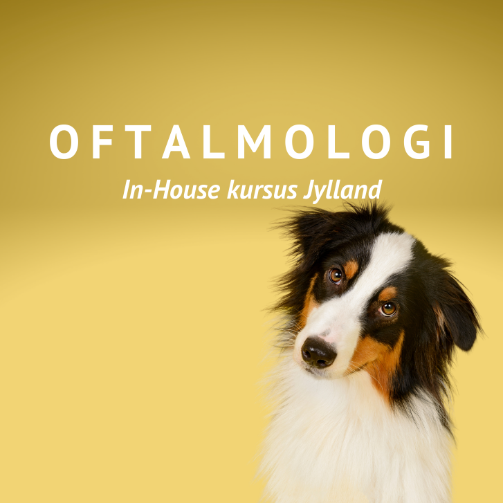 oftalmologi jylland in house kursus